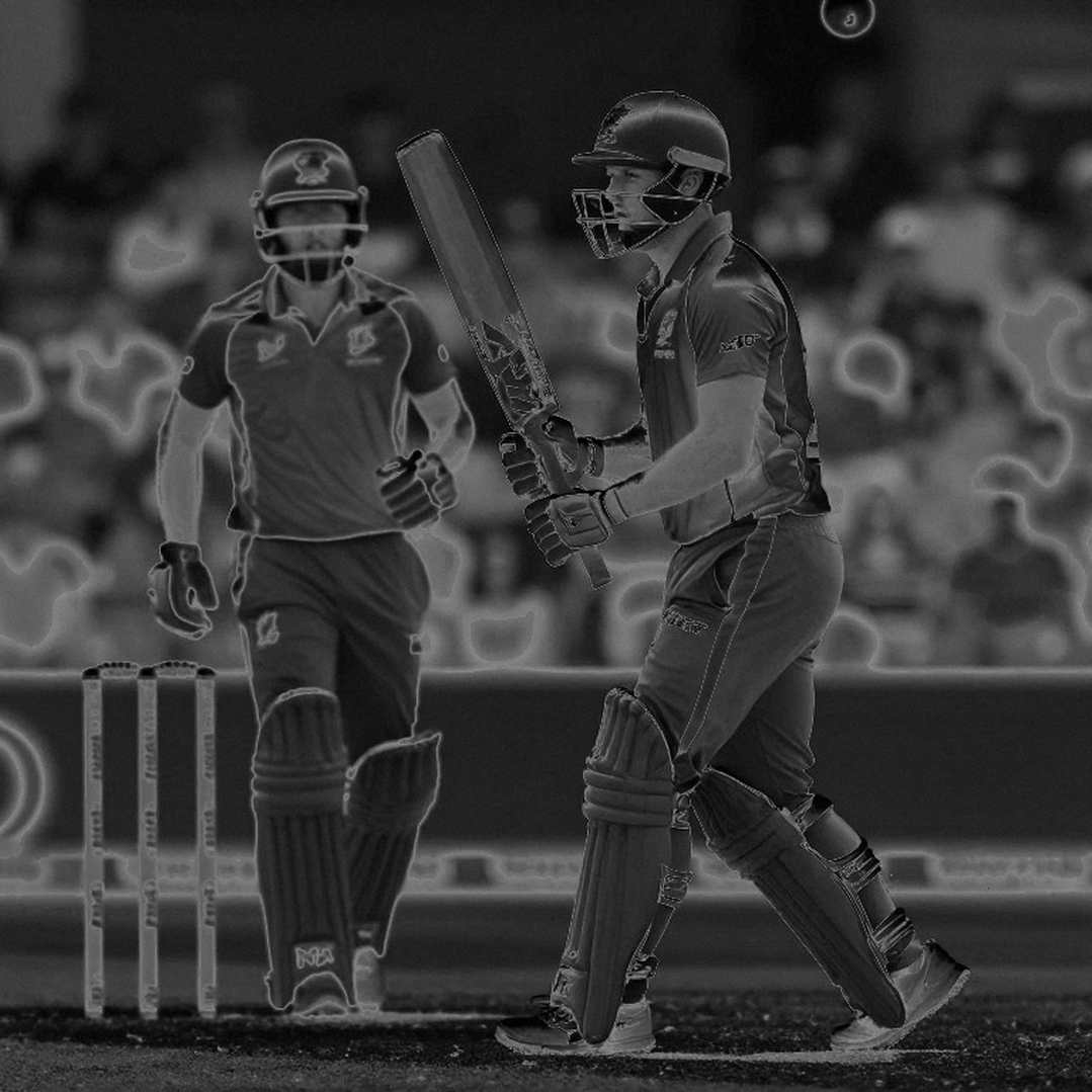 Zero Information Points: When Cricket's Notebook Comes Back Empty